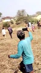 अब रिहायशी इलाके के नजदीक पहुंचा बाघ, पीछे पड़े लोग, कलक्टर, एसपी और डीएफओ भी पहुंचे