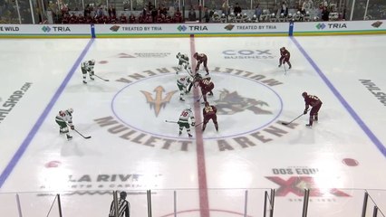NHL - Minnesota Wild @ Arizona Coyotes - 12.03.2023 - Period 2