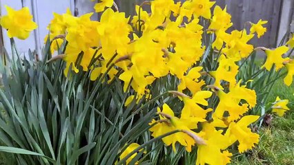 Weather video - High winds in Sussex