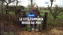 La cittadina belga invasa dai Pfas