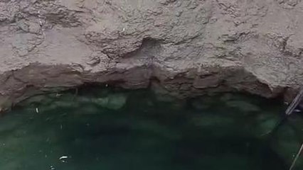 दर्दनाक: उज्जैन-आगर रोड स्थित कुएं से मिली महिला की लाश,पुलिस जुटी मामले की जांच में ।