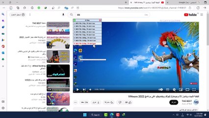 Neat vs IDM: Which Is Better? 🤔