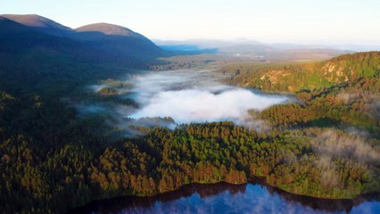 Wild Isles - Trailer