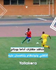 شاهد مهارات أداما بوجانج.. الأهلي وتوتنهام يتنافسان على "إعصار" أمم أفريقيا