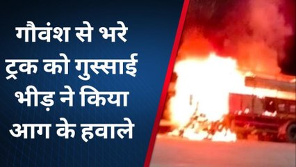 शाहपुरा: ट्रक में गौवंश भरकर ले जा रहे थे तस्‍कर, ग्रामीणों ने किया कुछ ऐसा