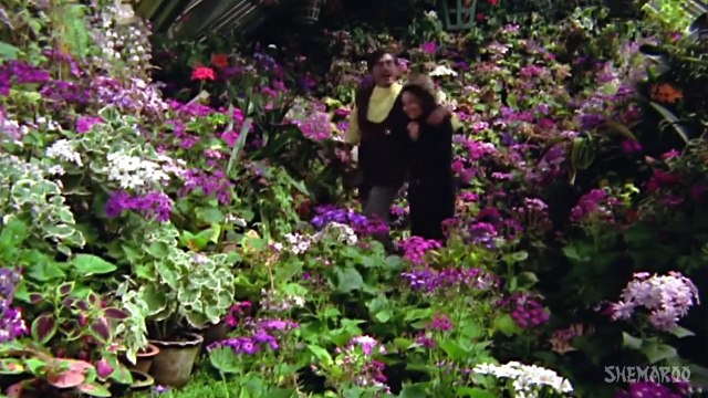 Sharbati Teri Aankhon Ki /Kishore Kumar , Raakhi / 1973 Blackmail