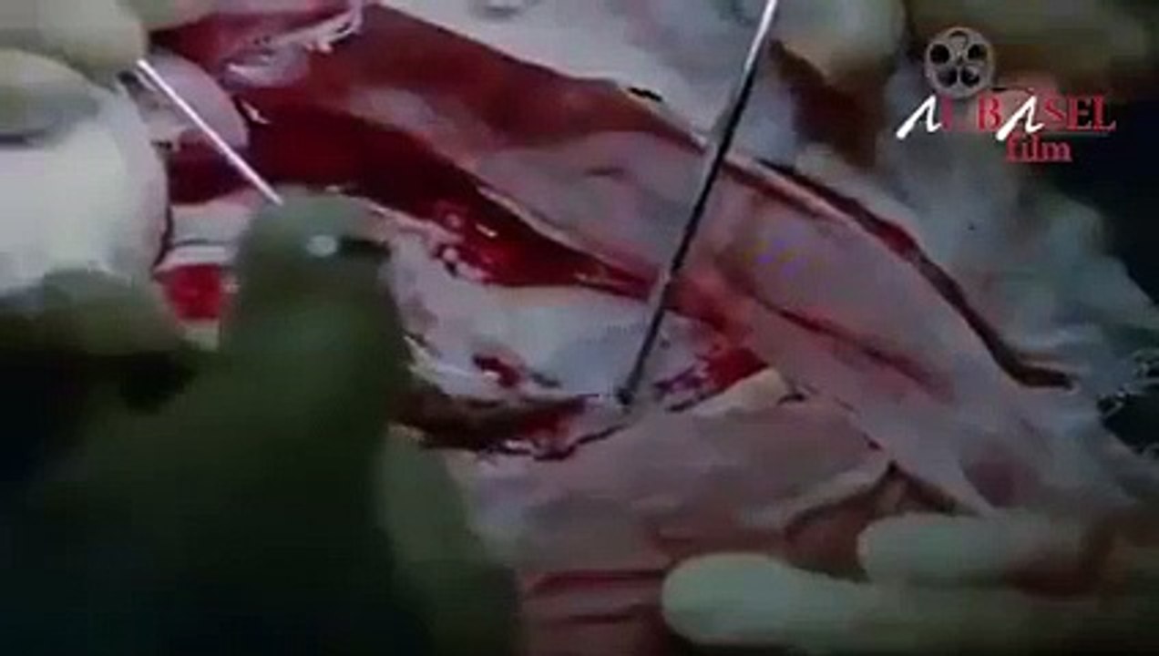 لاتبكي ياحبيب العمر