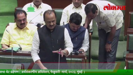 शिंदेंना प्रसाद…’ फडणवीस हसले, विधानसभेत काय घडलं