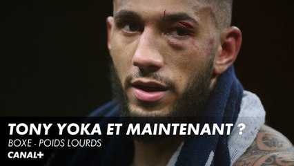 Tony Yoka et maintenant ? - Boxe poids lourds