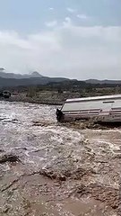 Watch: Pakistani expat pulled to safety in dramatic rescue during torrential Saudi rains, floods