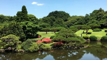 Meditation music, relaxing music, spa music, sleep music, relax mind video