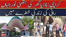 Karachi: Chirya ghar mai hathni Noor Jaha Rani ki zindagi khatre mai