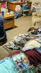 Crazy eye from Princess