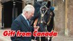 King Charles given horse by Canadian Mounties continuing long standing tradition