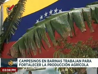 Campesinos del estado Barinas trabajan para fortalecer la producción agrícola en la entidad