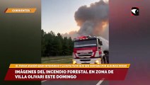 Incendios en Corrientes  Imágenes del Incendio forestal en zona de Villa Olivari este domingo