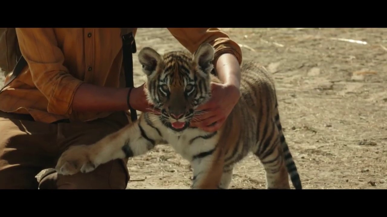 A TIGER'S JOURNEY Trailer (2023) Aventure Movie (HD)