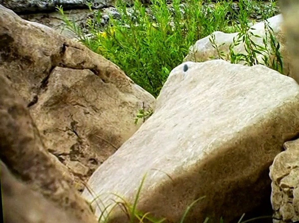 Minuscule S01 E07