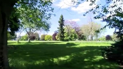 Catch Up Erinnerungen: Nie wieder wichtige Momente verpassen! 📅