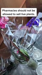 Woman Documents Her Dumpster Diving Finds