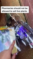 Woman Documents Her Dumpster Diving Finds