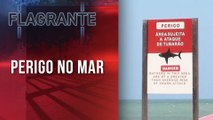 Dois banhistas perdem membros do corpo após ataque de tubarão em Recife | FLAGRANTE JP