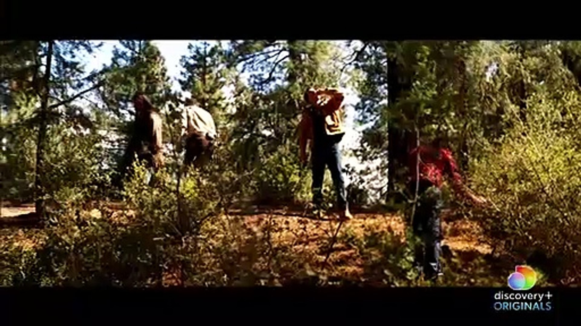 Travis Walton Abduction Location