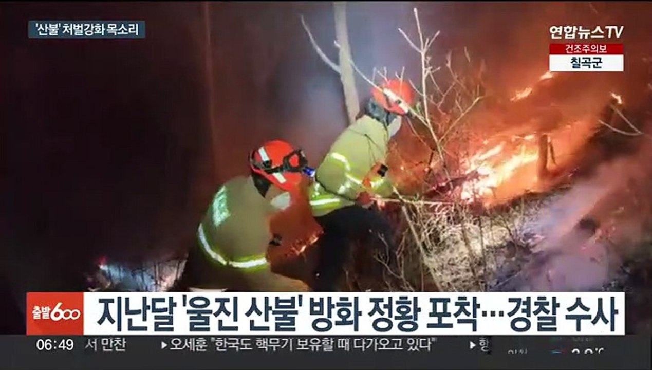 산불 피해 커지는데…'솜방망이' 방화범 처벌