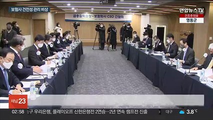 보험사들도 비상…새 건전성 규제 무더기 유예 신청