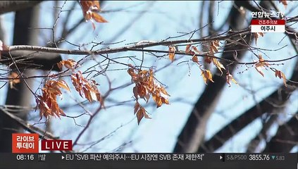 [날씨] 출근길 쌀쌀하지만, 낮 기온 크게 올라…곳곳 건조특보