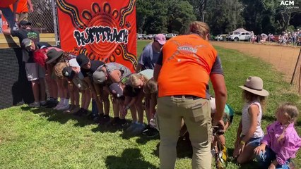 Wilbert the dachshund reaches new heights - Tuesday, March 14, 2023 - Southern Highland News