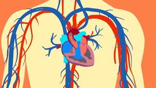 Health|Heart work in body|2023