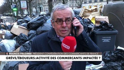 Grève des éboueurs à Paris : «La situation devient grave», alerte Francis Palombi