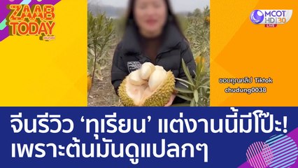 จีนรีวิวทุเรียน แต่งานนี้มีโป๊ะ! เพราะต้นมันดูแปลกๆ (13 มี.ค. 66) แซ่บทูเดย์