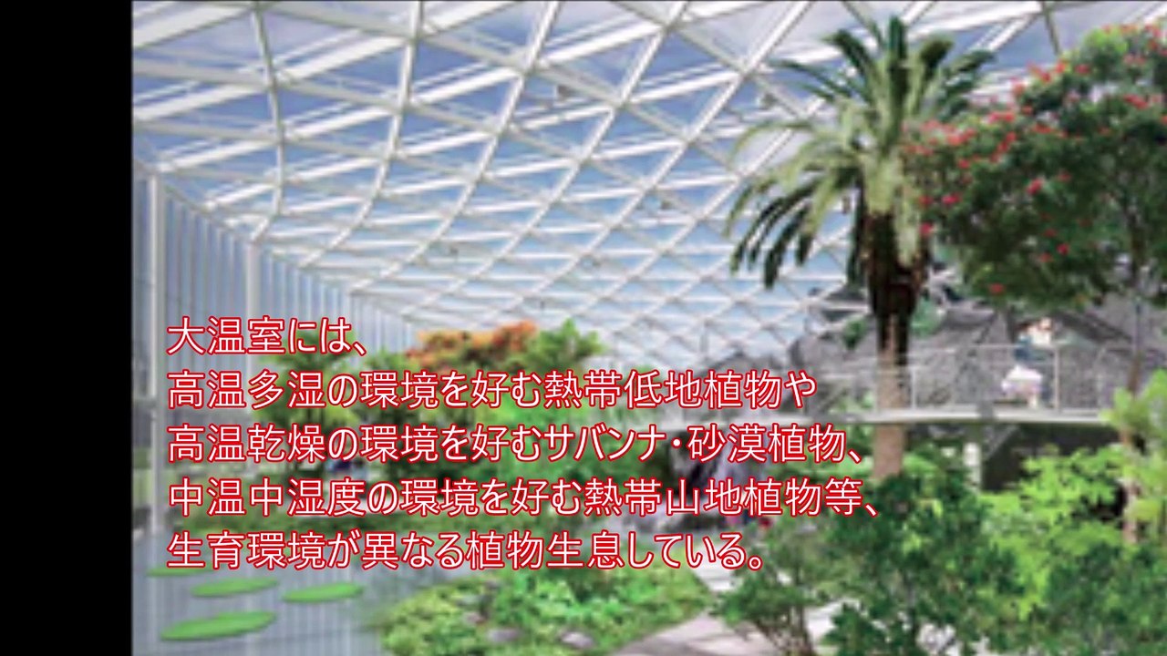 特集｢新宿御苑大温室｣    関東地方整備局 営繕部【Zoom up】 及び 【寄稿記事】 ｢新宿御苑大温室新営その他工事｣ 戸田建設(株) 東京支店　現場代理人 岡田 崇氏