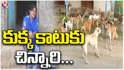 Another Dog Incident In State, Public Fires On Govt To Control Dogs _ Khammam _ V6 News