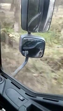 Видео из села Богородичное под Святогорском в Донецкой обл., которое практически полностью разрушено во время боев