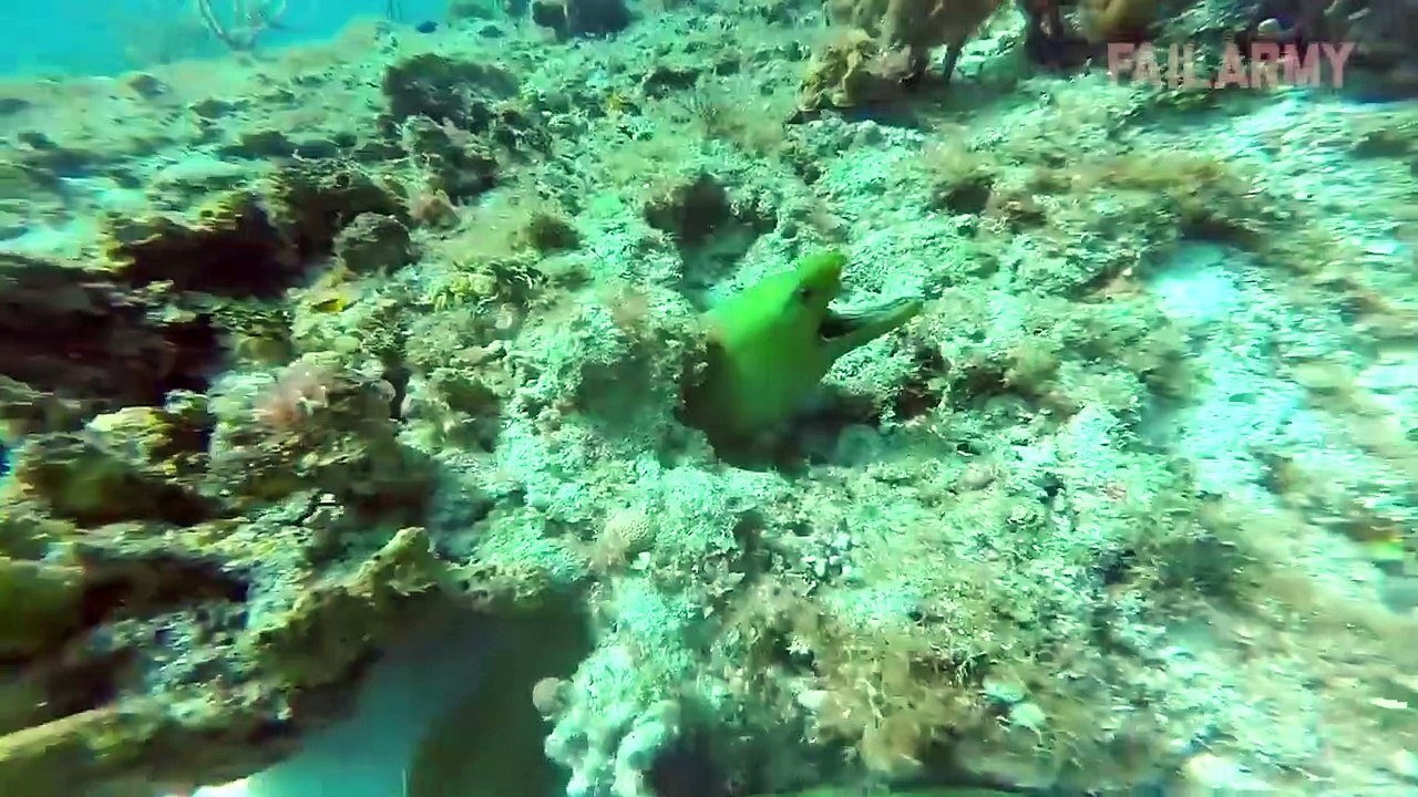 People Vs. Nature Fails_ Taken Out By Wave _ FailArmy