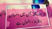 Heart Touching and Amazing Urdu Quotes Collection - Aqwal e Zareen