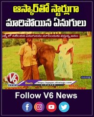 ఆస్కార్ తో స్టార్లుగా మారిపోయిన ఏనుగులు _ Oscars Winning Short Film _ V6 Shorts