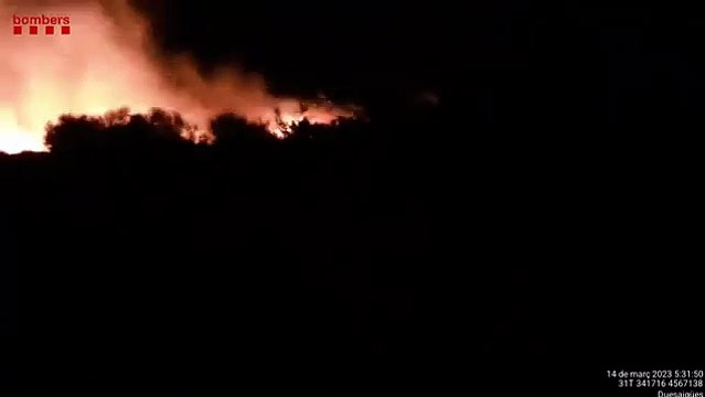 Incendio forestal Selva del Camp