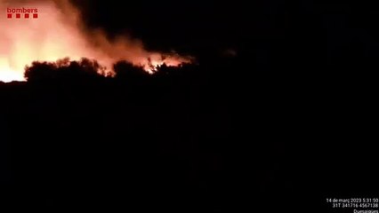 Incendio forestal Selva del Camp