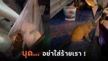 ห้อยปลาทอดไว้ที่รถ สภาพไม่เหมือนเดิม ผู้ต้องสงสัยอยู่ใกล้ ๆ ใช่เปล่านะ