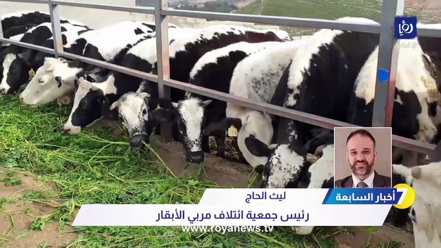 ائتلاف مربي الأبقار : لا حاجة لاستخدام حليب البودرة ونطالب بالتعويض