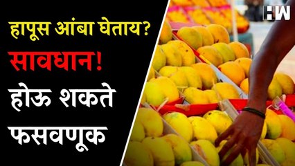 Hapus आंबा घेताय, सावधान! होऊ शकते फसवणूक