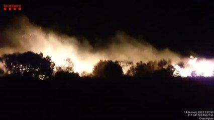 Incendio forestal entre las localidades de Selva del Camp y Vilaplana en Tarragona