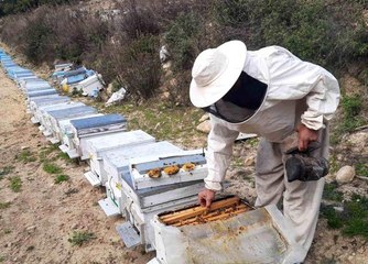 Konyalı arıcıların zorlu mesaisi