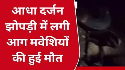 बलिया: संदिग्ध परिस्थितियों में लगी भीषण आग, पशुओं की हुई मौत