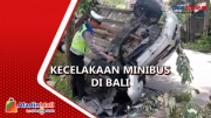 Minibus Tabrak Pohon hingga Terguling di Bali