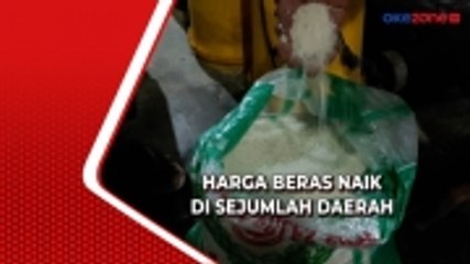 Tải video: Harga Beras Naik di Sejumlah Daerah, Mentan Pastikan Stok Beras Aman